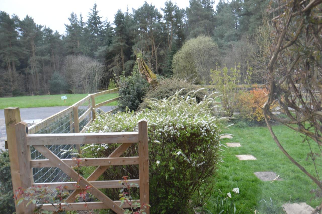 Middlehead Cottages Pickering Bagian luar foto