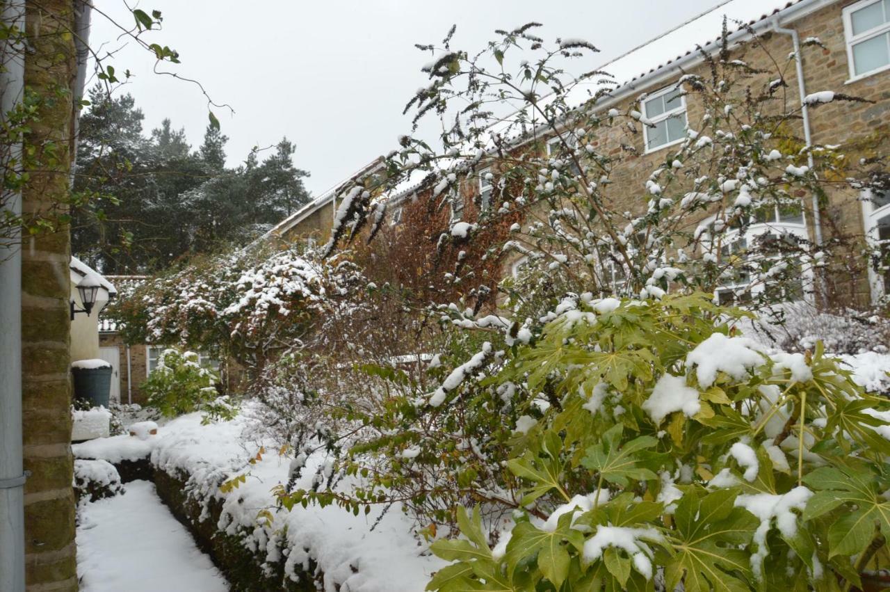 Middlehead Cottages Pickering Bagian luar foto